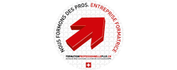 Formation Professionnelle